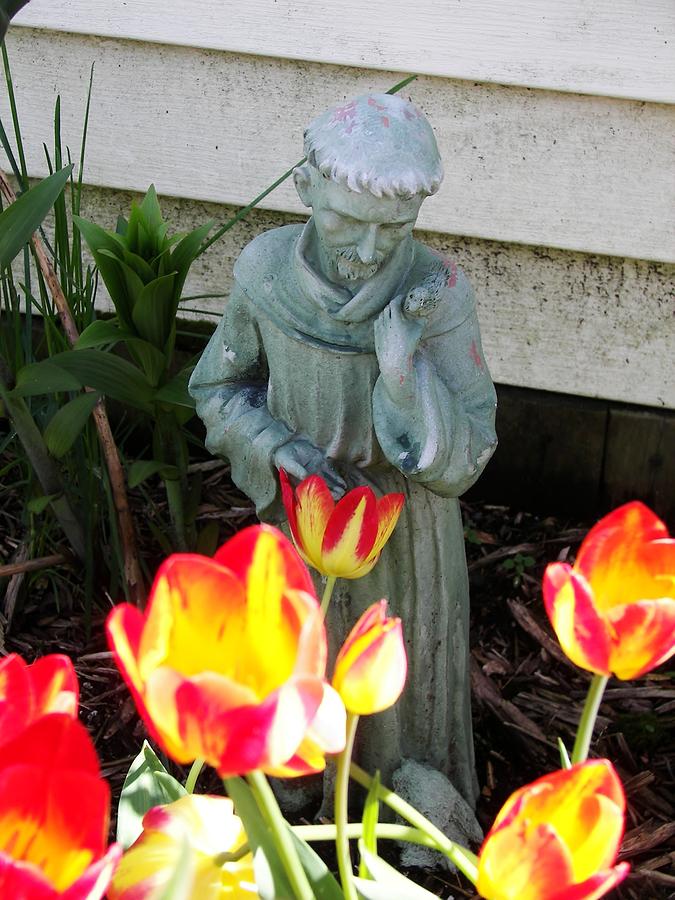 St.Francis Photograph by Judy Via-Wolff