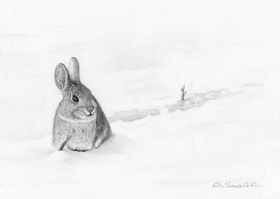 Stick hunting Drawing by George Sonner