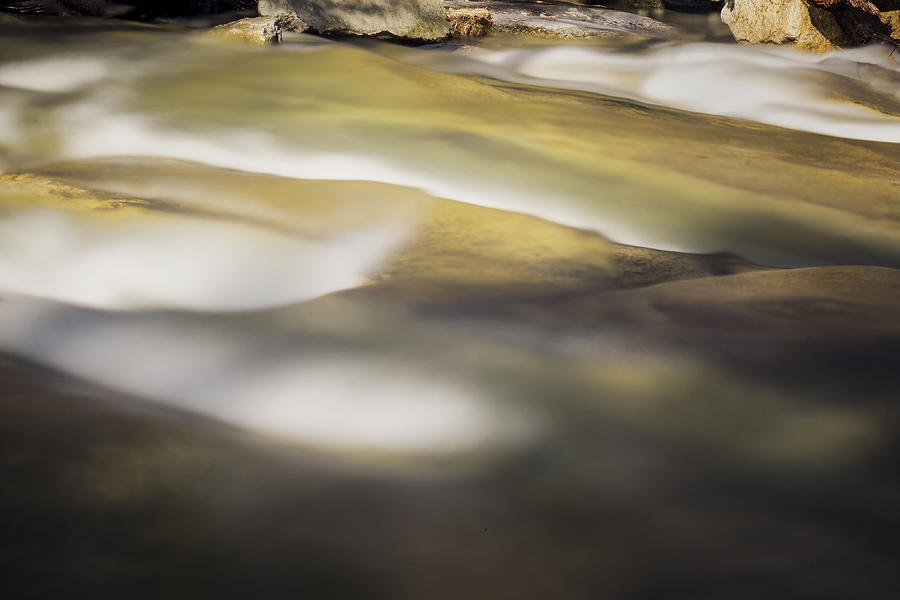 Stickney Brook Abstract Photograph by Tom Singleton