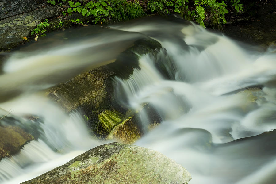 Stickney Brook Flowing Photograph by Tom Singleton