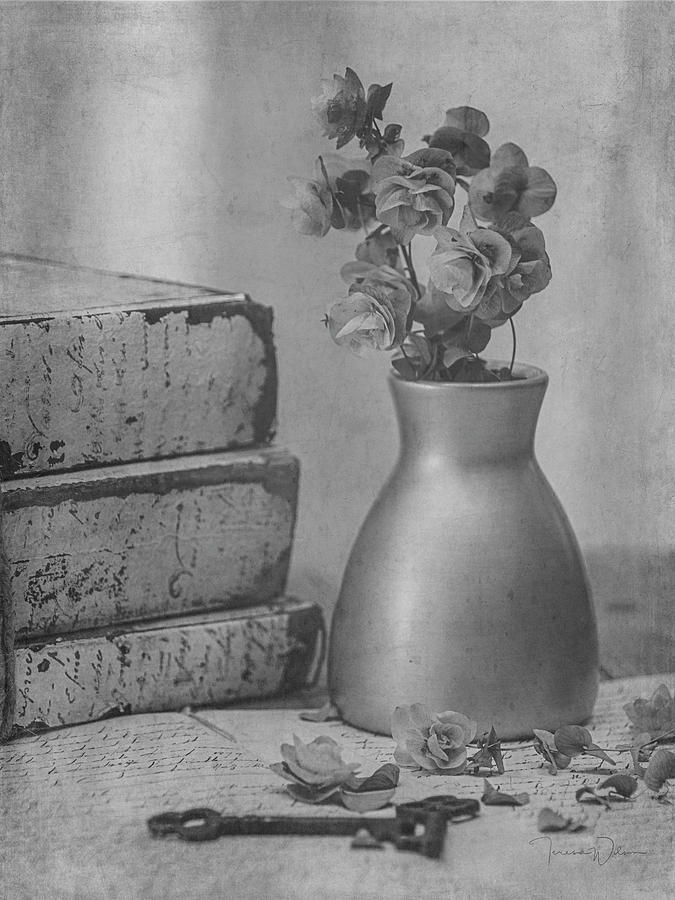 Still Life 8268 in Black and White Photograph by Teresa Wilson