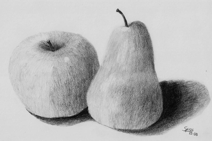 Still life sketching Art Paper 8x10  Arup Amazonin Collectibles   Fine Arts