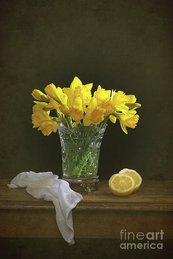 Spring Photograph - Still Life Daffodils And Lemons by Amanda Elwell