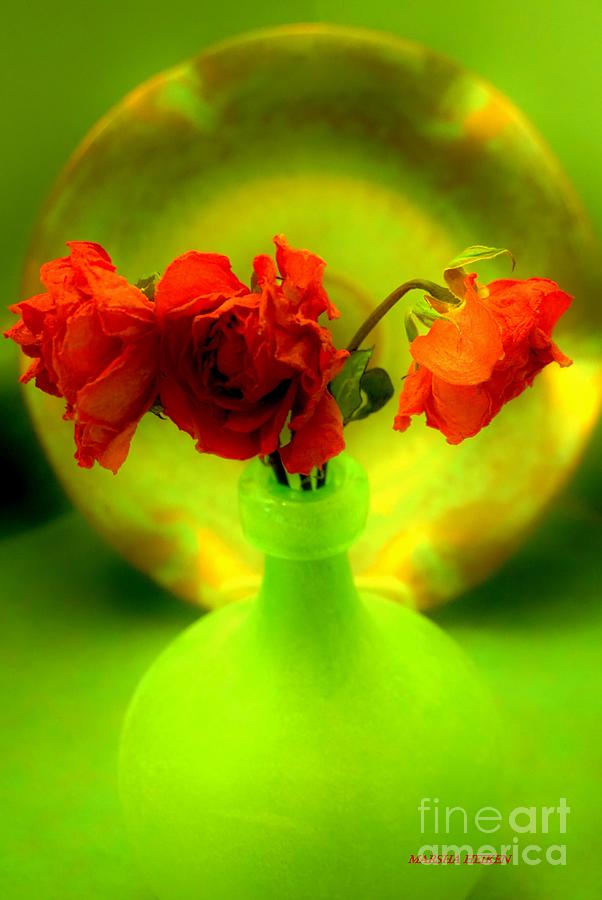 Still Life Dried Roses Against Lime Green Digital Art by Marsha Heiken