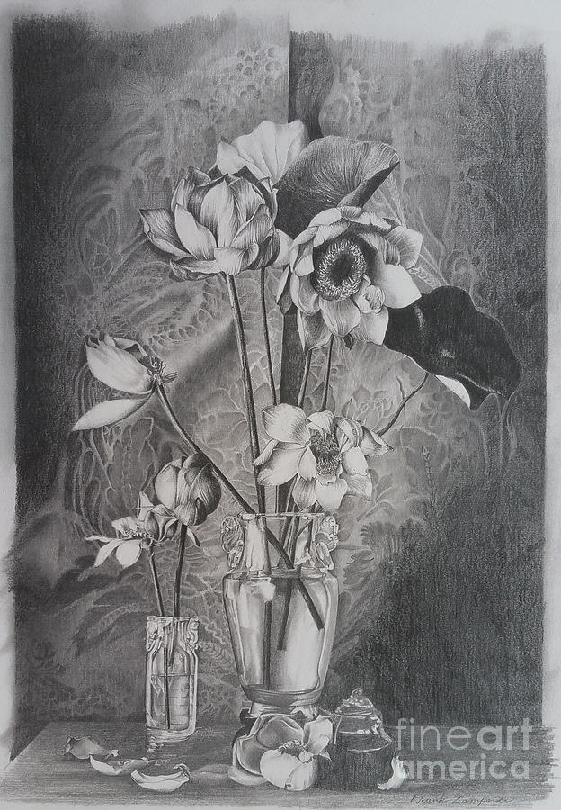 Still Life With Dropped Petals Drawing by Frank Zampardi