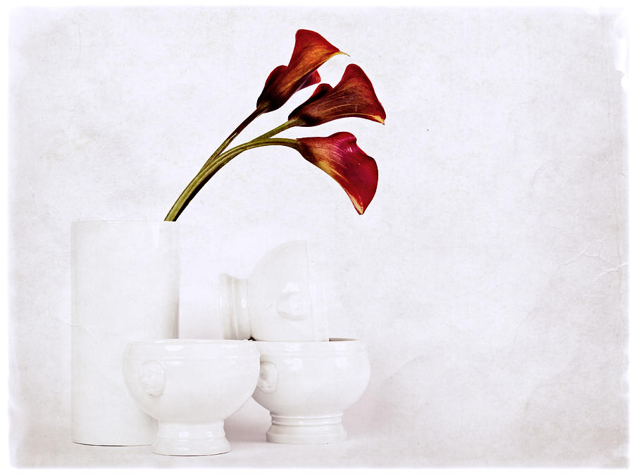 Still Life III by Stefan Nielsen Still Life III by Stefan Nielsen