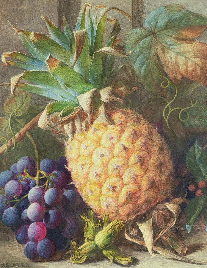 Pineapple Painting - Still Life of a Pineapple and Grapes  by Charles H Slater
