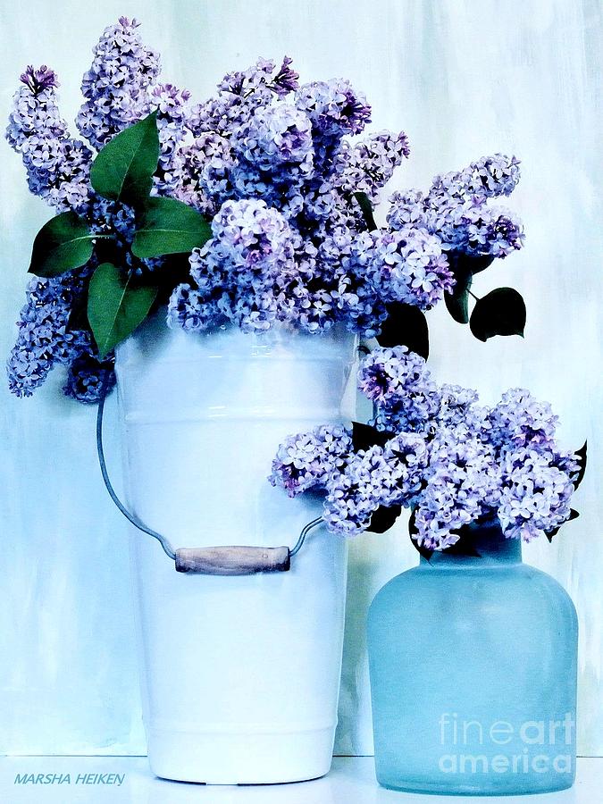 Still Life of Lilacs Photograph by Marsha Heiken