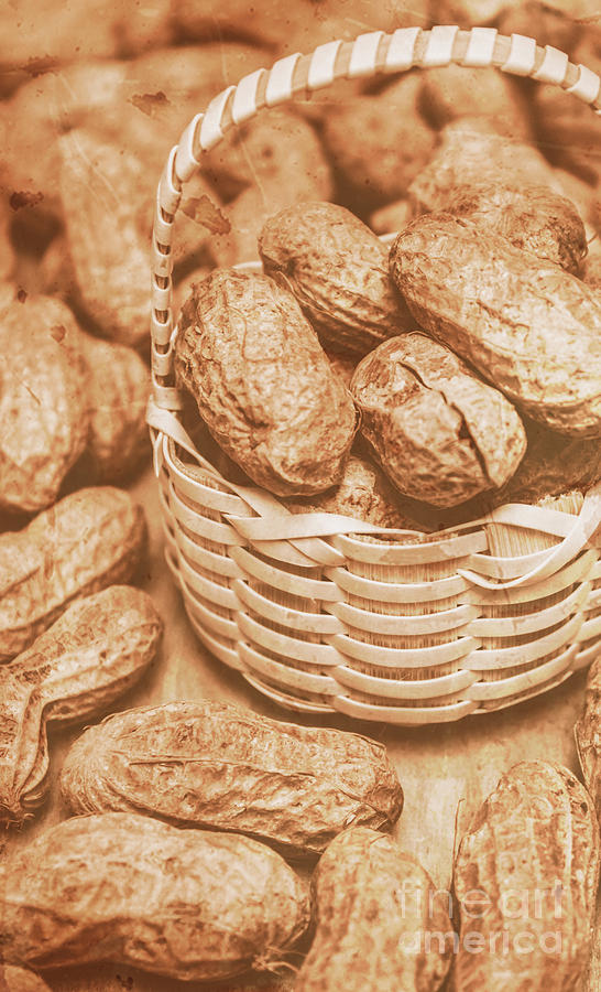 Still Life Photograph - Still Life Peanuts In Small Wicker Basket On Table by Jorgo Photography