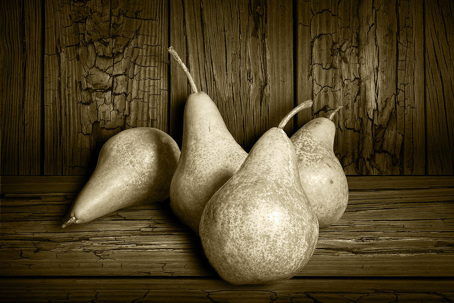 Still Life Sepia of Four Bartlett Pears Photograph by Randall Nyhof
