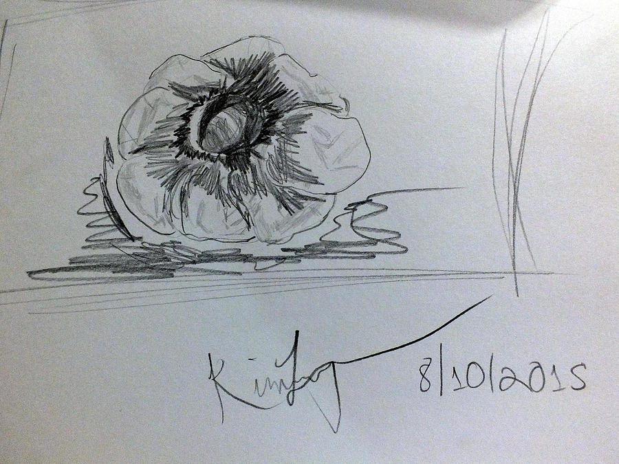 Still Life Sketch Drawing by Kimmary MacLean