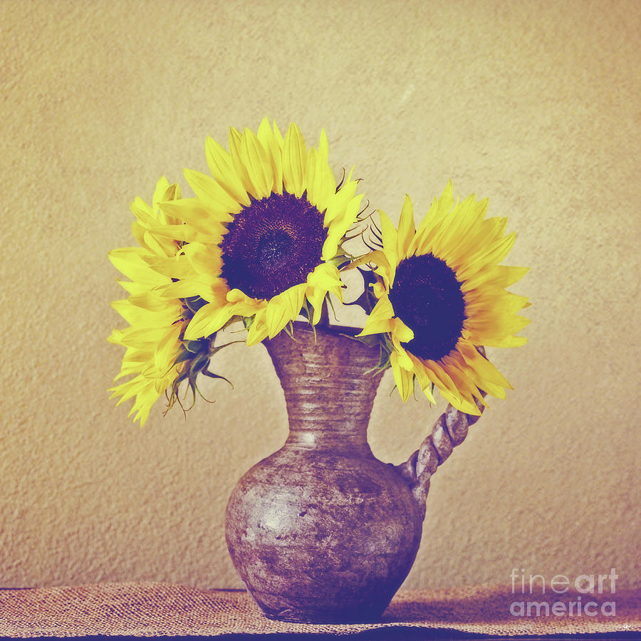 Still Life Sunflowers - square Photograph by Scott Pellegrin