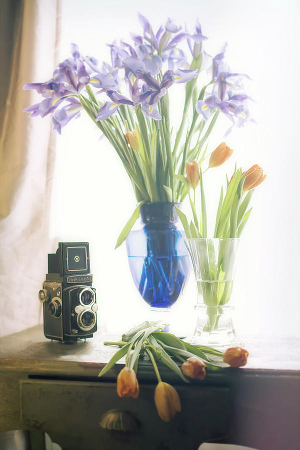 Still Life - Tulips Irises and Camera Photograph by Jon Woodhams