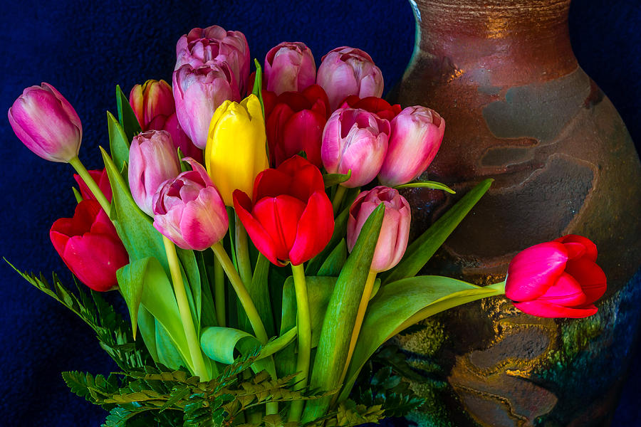 Still Life Tulips Photograph by Jade Moon 