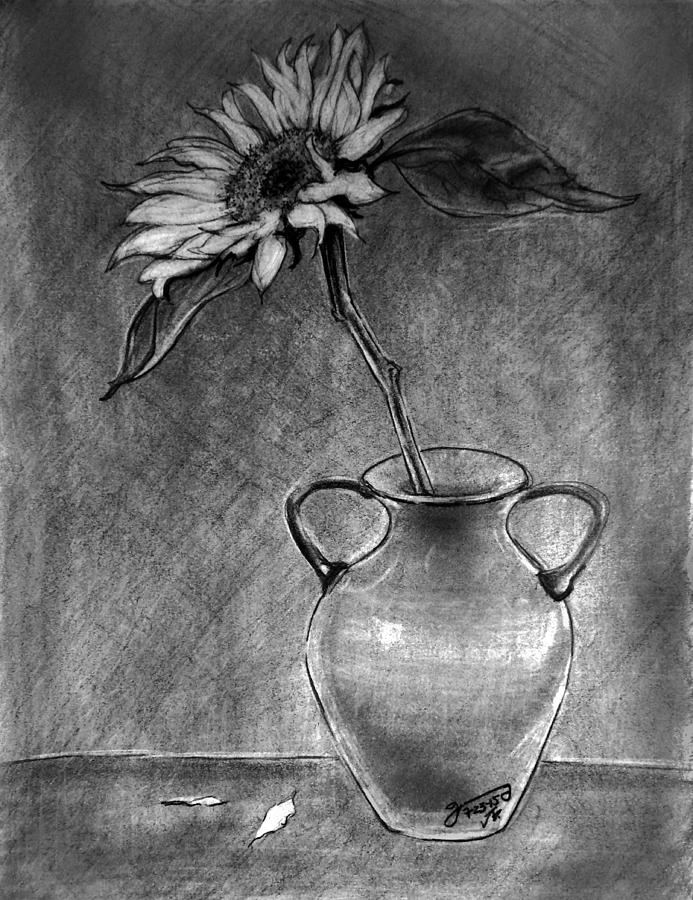 Still Life Vase With One Sunflower Drawing by Jose A Gonzalez Jr