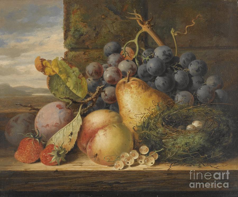 Grape Painting - Still Life With A Birds Nest, A Pear, A Peach, Grapes, Strawberries And Plums by Celestial Images