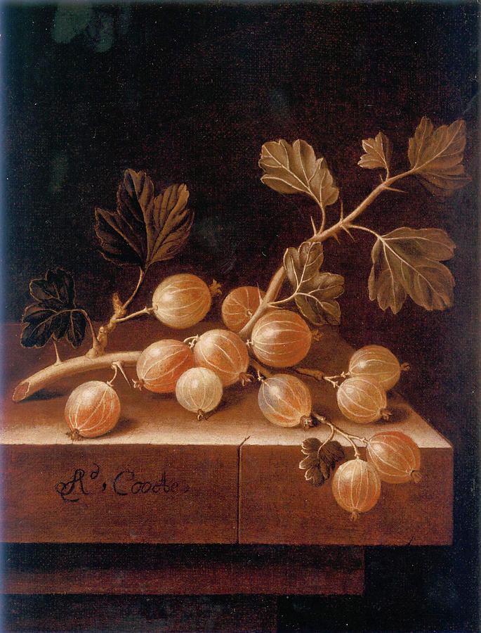  Still Life with a Spray of Gooseberries Painting by Adriaen Coorte