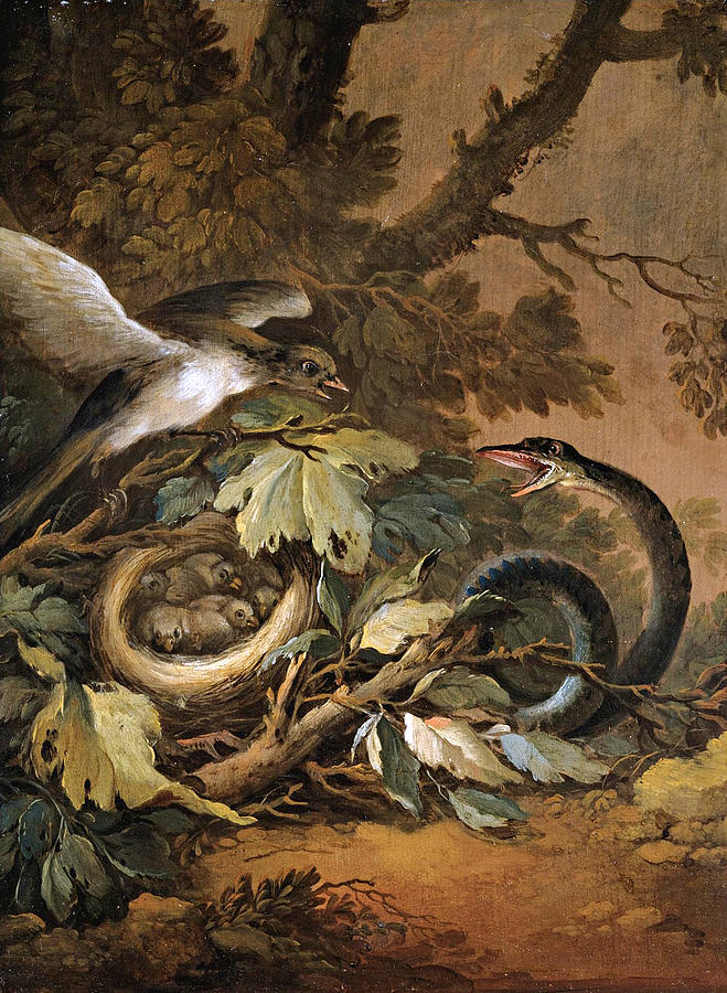 Still Life with a Viper and a Birds Nest Painting by Circle of Christoph Ludwig Agricola