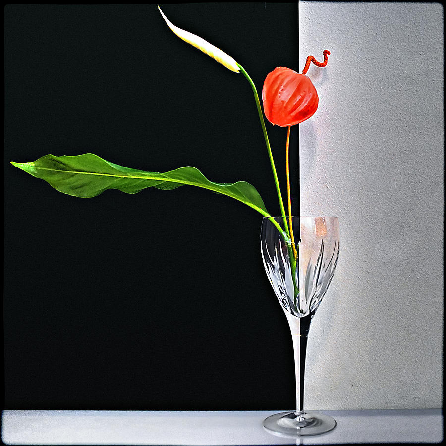 Still life with Anthurium and Lily plant Photograph by Andrei SKY