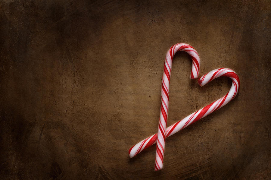 Still Life with Candy Canes Photograph by Jolanta Zychlinska | Fine Art ...