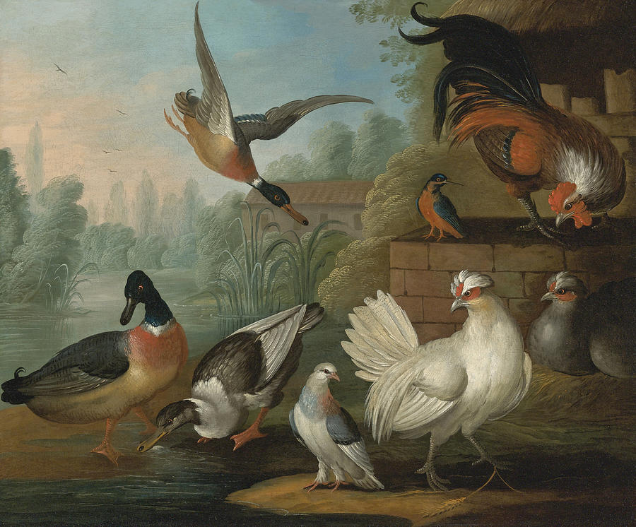 Still Life with Cockerels, Ducks, a Kingfisher and a Pigeon in a River Landscape Painting by Marmaduke Cradock