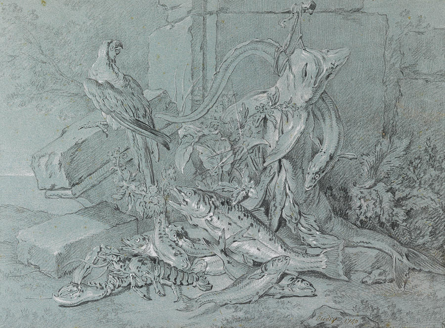 Still-life with Fish and Parrot Drawing by Jean-Baptiste Oudry
