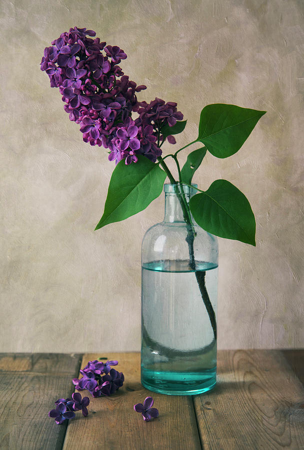 Still life with fresh lilac Photograph by Jaroslaw Blaminsky