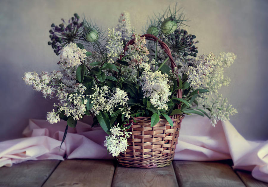 Still life with fresh privet flowers in the basket Photograph by Jaroslaw Blaminsky