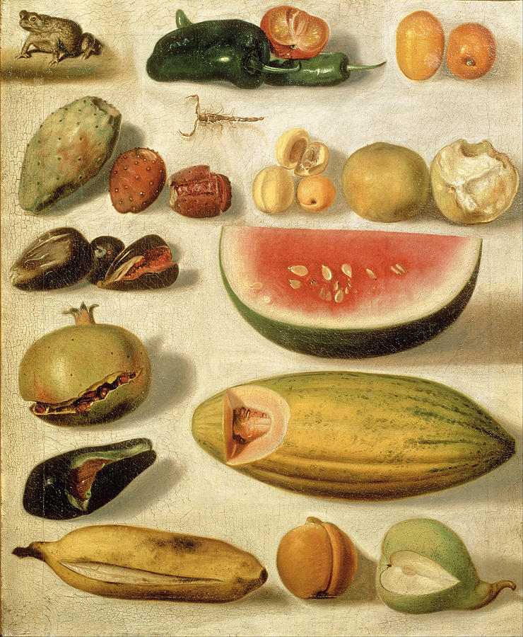 Still life with fruit with scorpion and frog Painting by Hermenegildo Bustos