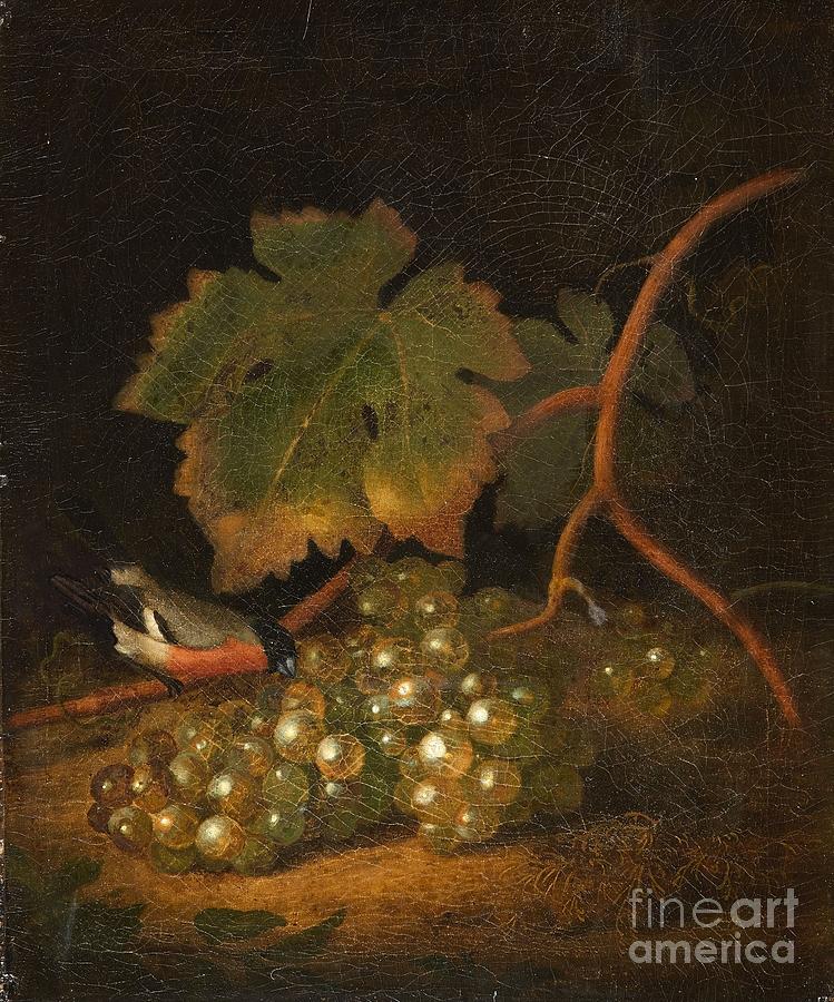 Grape Painting - Still Life With Grapes And A Bullfinch by MotionAge Designs