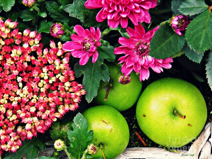 Apple Photograph - Still Life With Green Apples  by Sarah Loft