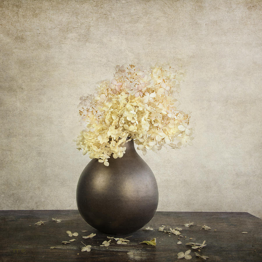 Still Life With Hydrangea Photograph by Theresa Tahara