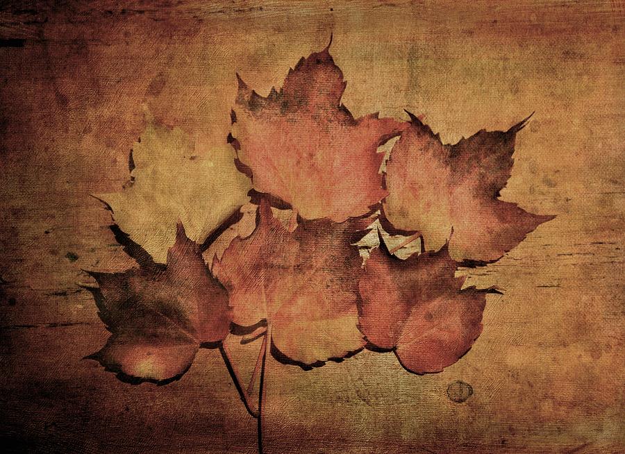 Still life with leaves by Vittorio Chiampan Still life with leaves by Vittorio Chiampan