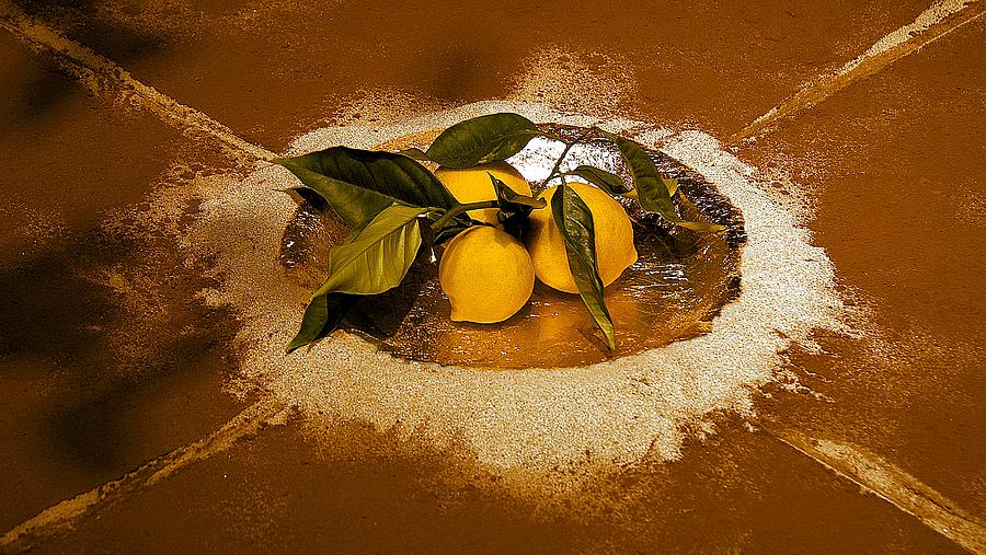 Still Life With Lemons Photograph by Viktor Savchenko