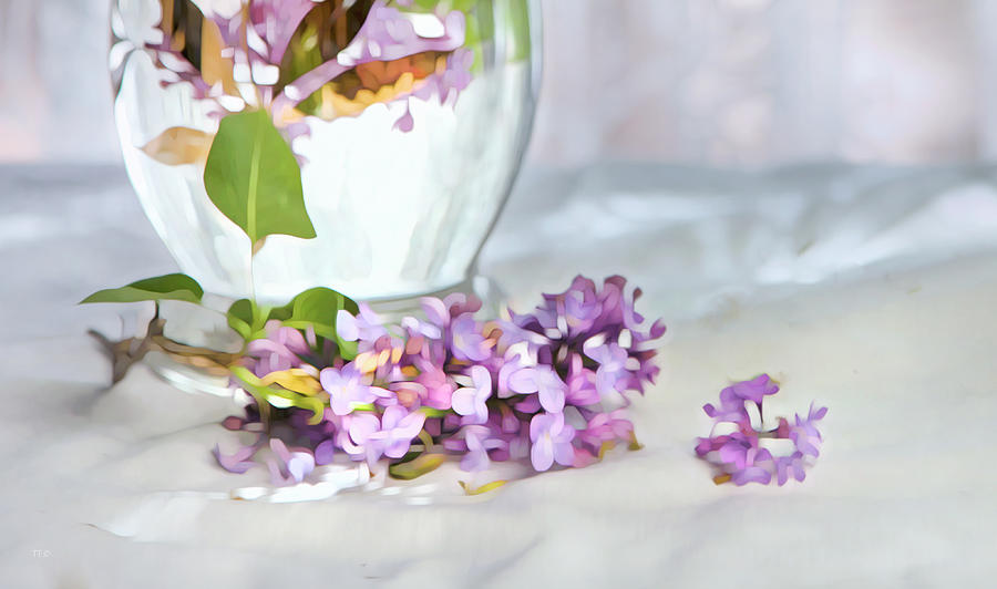 Still Life With Lilacs Photograph by Theresa Tahara