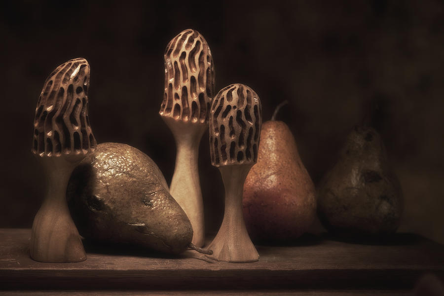 Mushroom Photograph - Still Life with Mushrooms and Pears II by Tom Mc Nemar