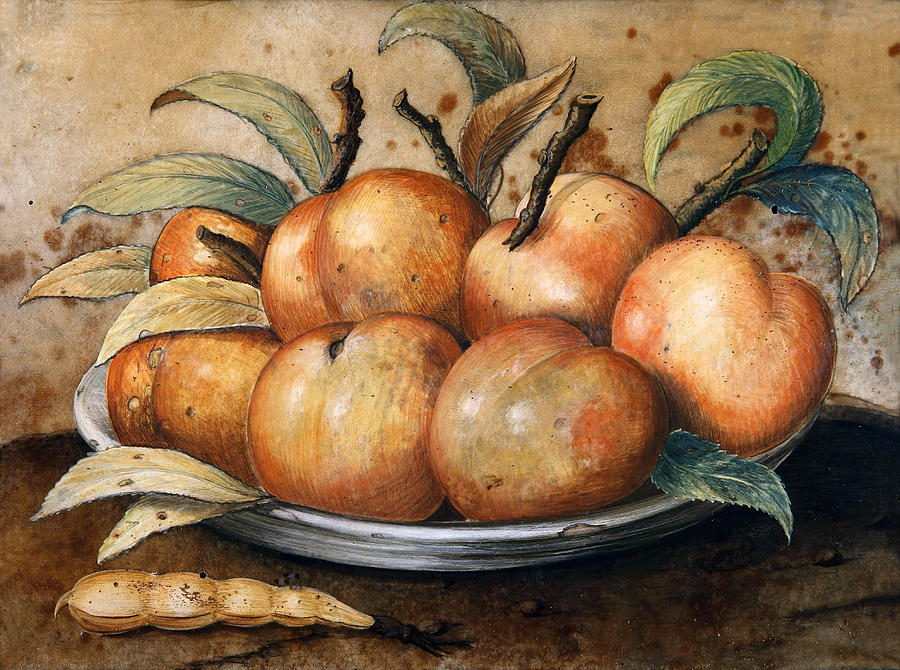 Still Life with Peaches and carob Painting by Giovanna Garzoni