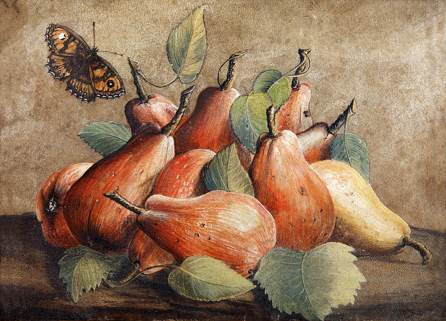 Still Life with Pears and a butterfly Painting by Giovanna Garzoni