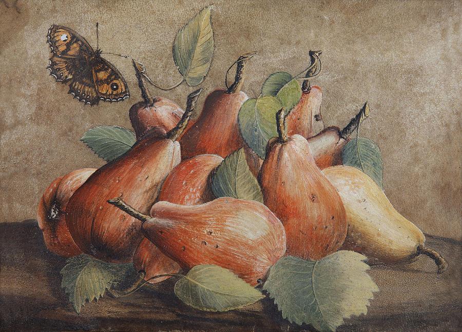 Still Life With Pears And Hazelnuts By Giovanna Garzoni. 2 Painting