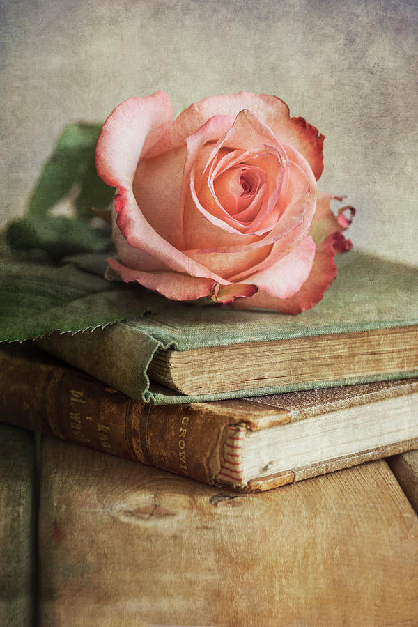 Still life with pink rose and old books Photograph by Jaroslaw Blaminsky