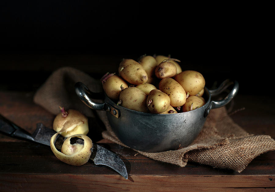 Potato Photograph - Still Life with Potatoes by Nailia Schwarz