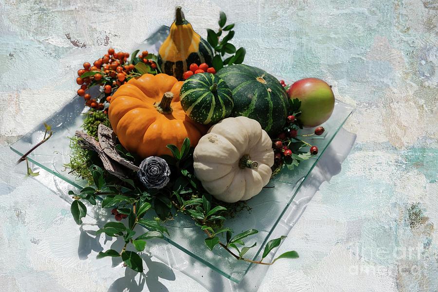 Still Life with Pumpkins Photograph by Eva Lechner
