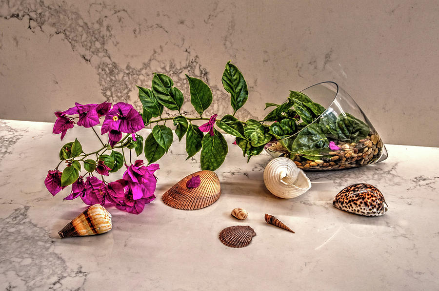 Still life with purple bougainvillea Photograph by Andrei SKY