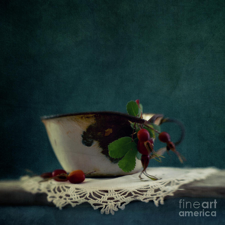 Still life with Rosehips Photograph by Priska Wettstein