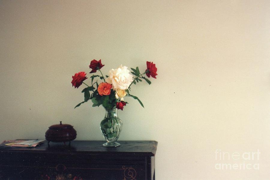 Still Life with Roses Photograph by Nancy Kane Chapman