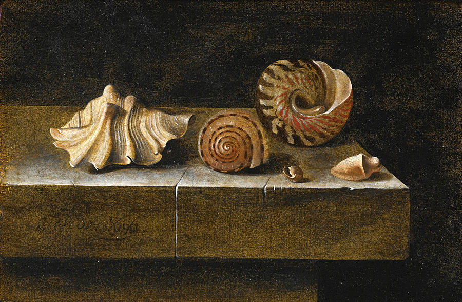 Still Life with Sea Shells Painting by Adriaen Coorte