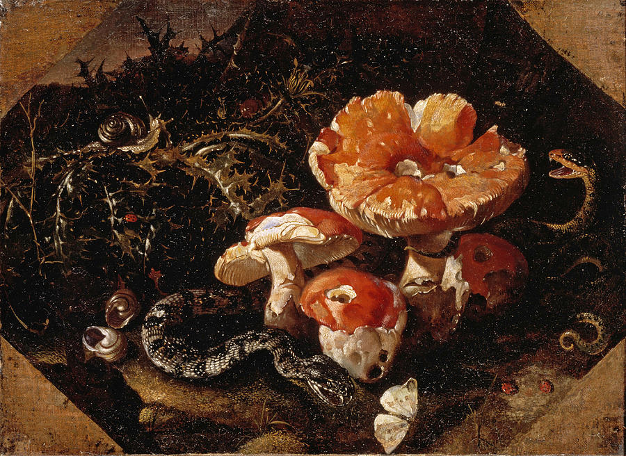Still Life with Serpents Fly Agarics and Thistles  Painting by Paolo Porpora