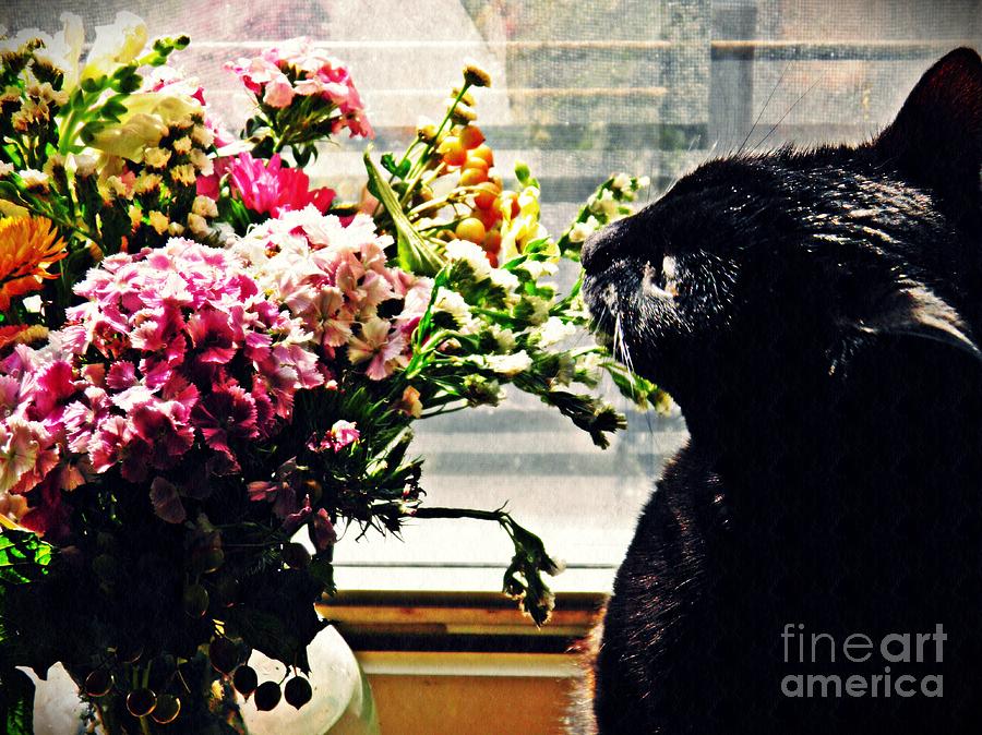 Flower Photograph - Still Life With Sheba 1 by Sarah Loft