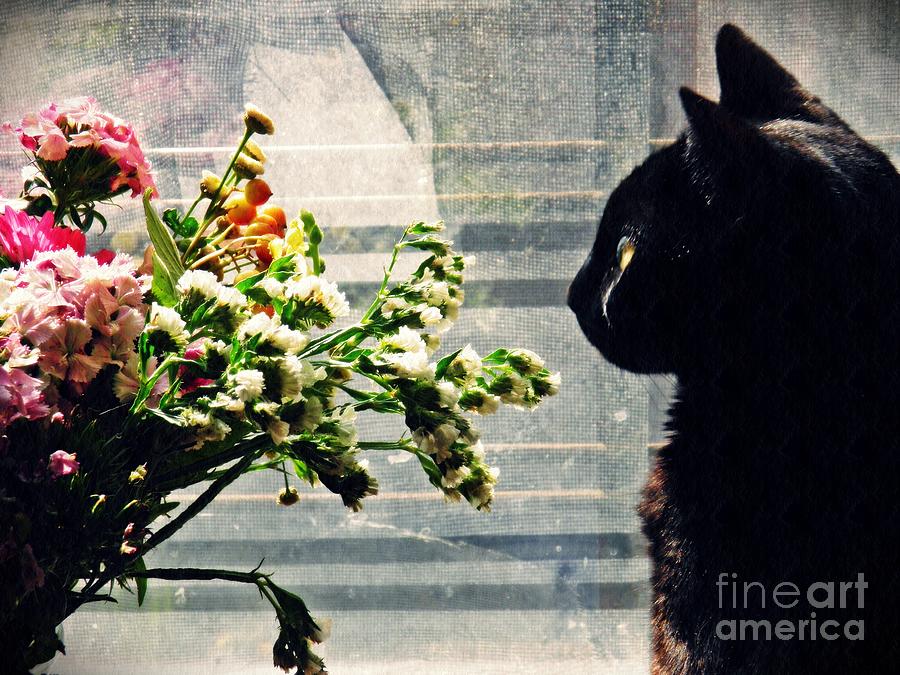 Flower Photograph - Still Life With Sheba 2 by Sarah Loft