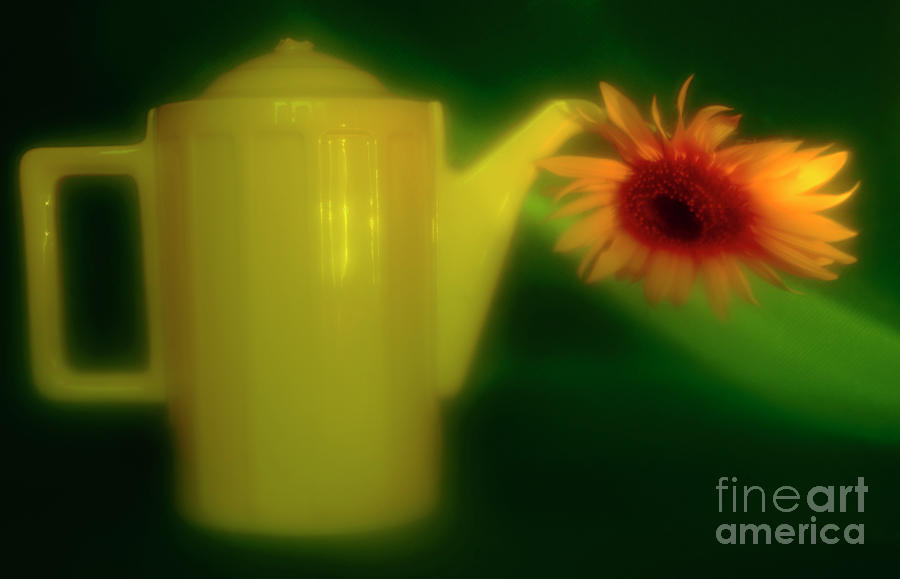 STILL LIFE with SUNFLOWER and COFFEE POT. Photograph by Alexander Vinogradov